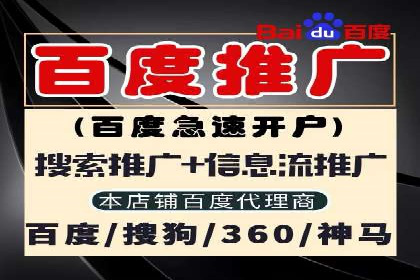 行业领先企业如何运用SEM进行精准营销